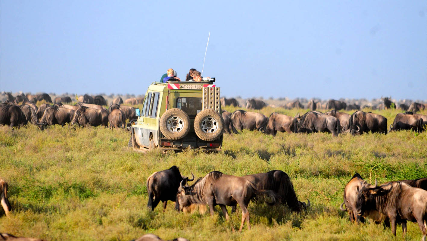 Serengeti Tanzania Safaris